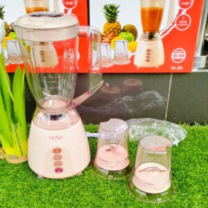 3 in 1 Signature Blender