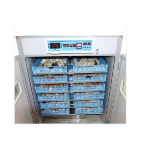 2112 Egg Incubator