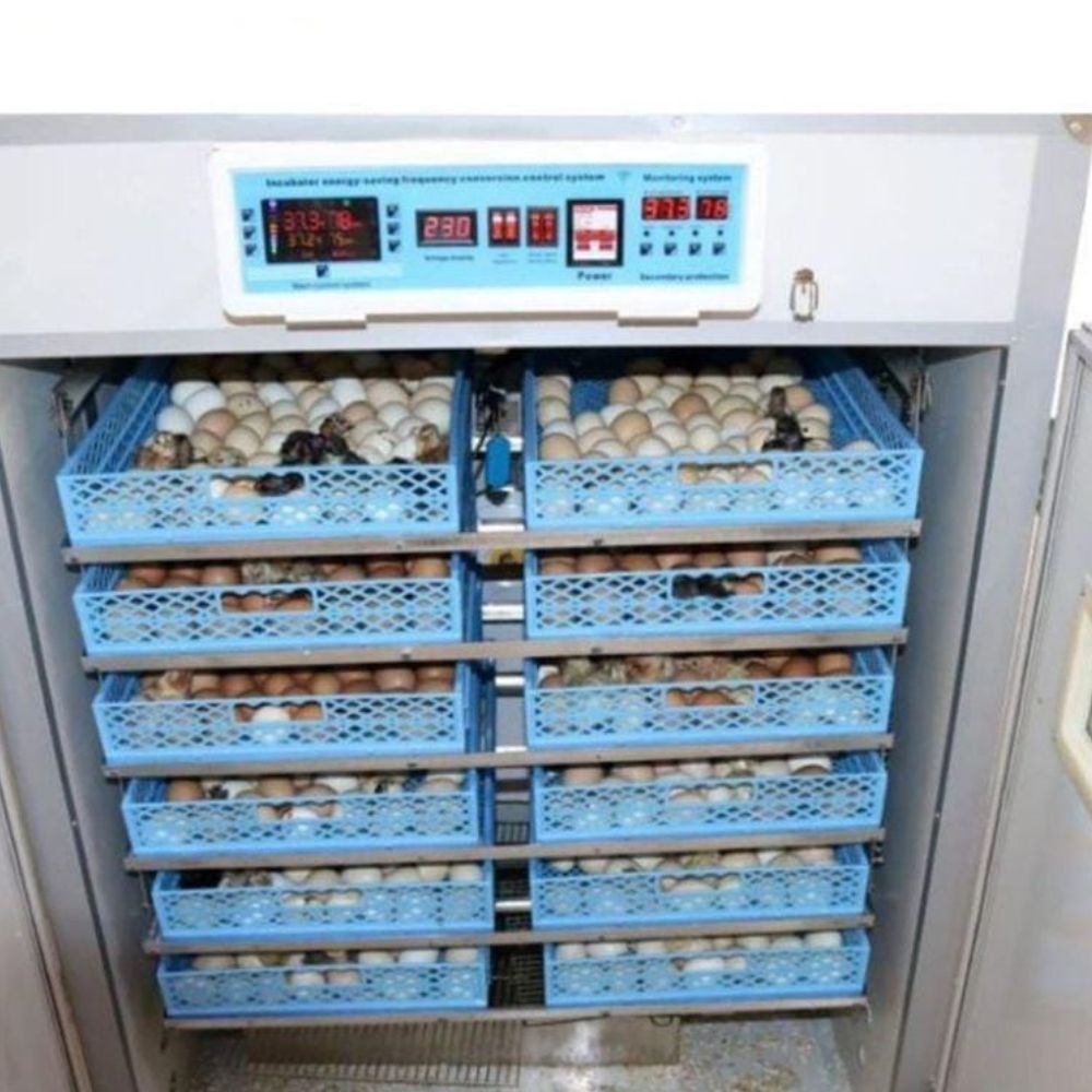 520 Egg Incubator