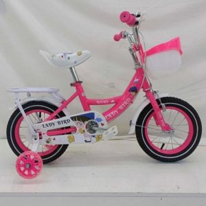 Lady Bird Size 12 Girls Bike