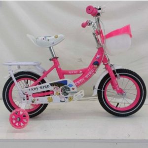 Lady Bird Size 16 Girls Bike