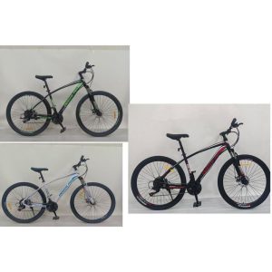 Size 29 Adults Mountain Bike